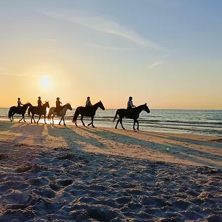 Hébergement de vacances Letniskowy Oktawin *