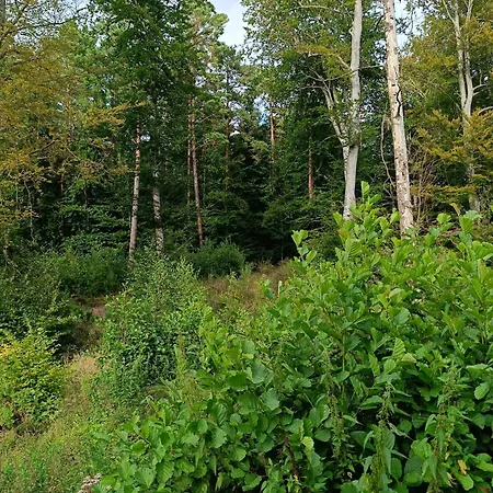 Letniskowy Oktawin Hébergement de vacances Slajszewo