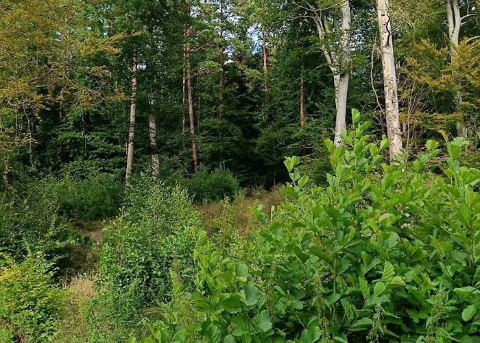 Letniskowy Oktawin Hébergement de vacances Slajszewo